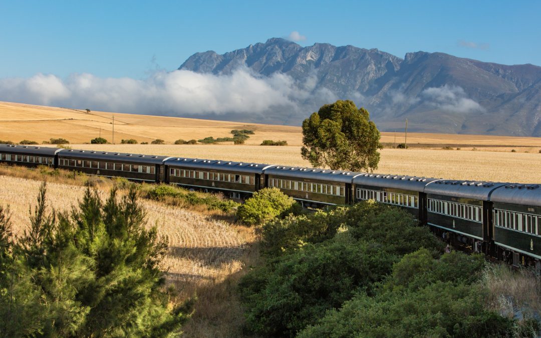 Voyage Afrique du Sud Train & Safaris